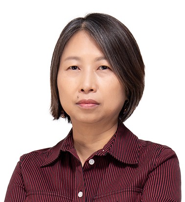 26 Day Archeology Revised Edition