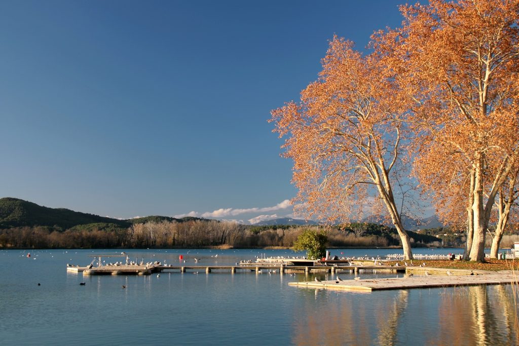 Plàtans amb colors de tardor vora l’Estany de Banyoles